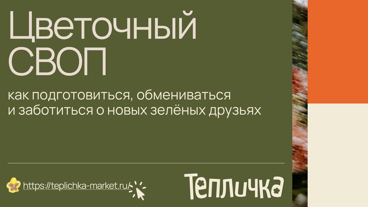 Обложка гайда «Цветочный СВОП: как подготовиться, обмениваться и заботиться о новых зелёных друзьях»